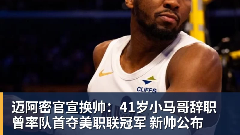 布鲁克洛佩斯：从篮筐守护者到全能得分手的华丽转身